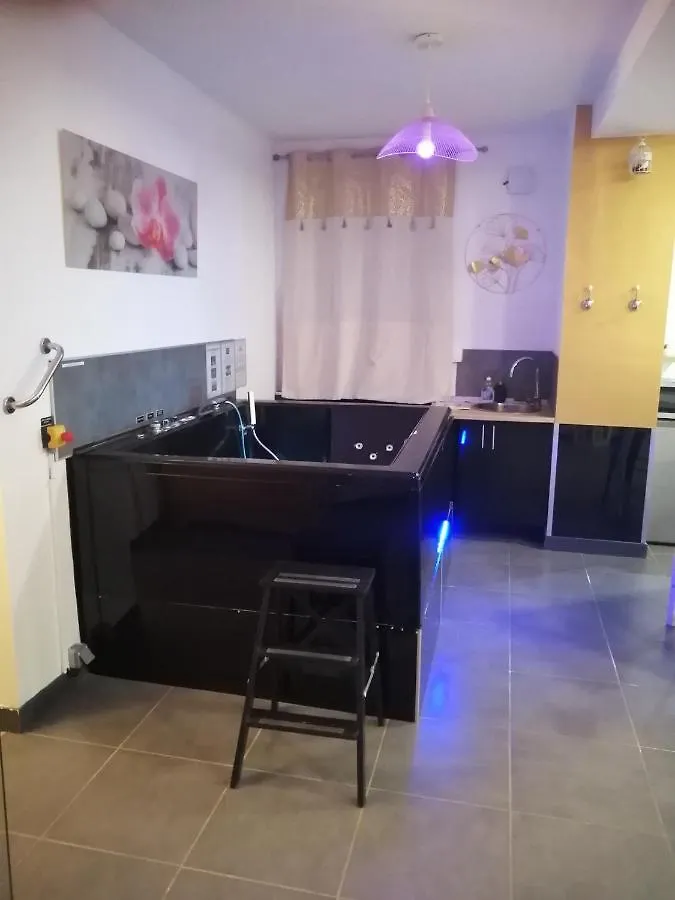 O Temps D'Amour Sauna&Jacuzzi Malissard Apartment