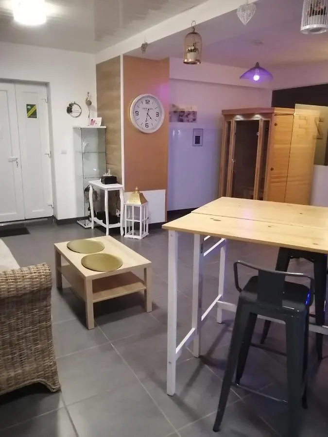 Apartment O Temps D'Amour Sauna&Jacuzzi Malissard France